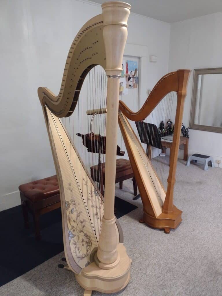 My two beloved harps Grover (Camac Athena) and Ernie (Camac Mademoiselle).